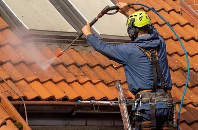 Démoussage et hydrofuge de toiture à Rochepaule